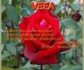 VEFA