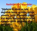 NİSAN AYI DEĞERİ  :  DOĞRULUK