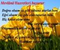 NİSAN AYI DEĞERİ  :  DOĞRULUK