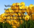 NİSAN AYI DEĞRİ  : DOĞRULUK