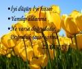 NİSAN AYI DEĞRİ  : DOĞRULUK